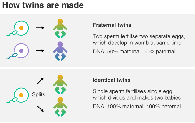 _105835936_semi_identical_twins_inf640-nc