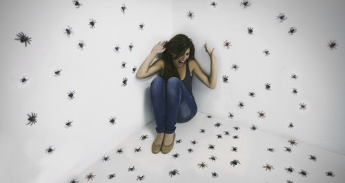woman-scared-of-spiders-in-a-room-1473063287-large-article-0