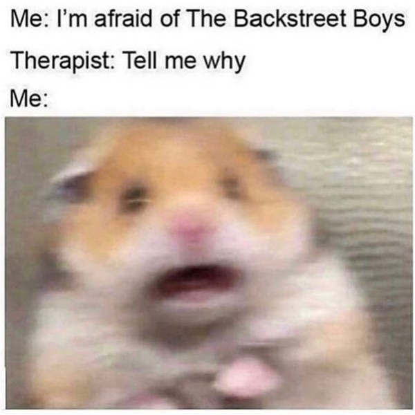 hamster