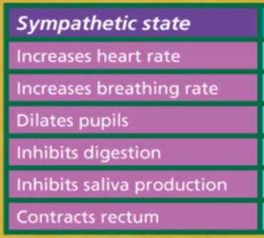 Sympathetic State