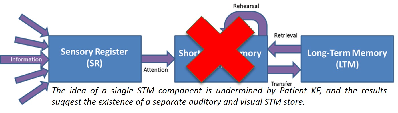 Nomothetic Vs Idiographic – CGS Psychology Blog: Mrs Harris